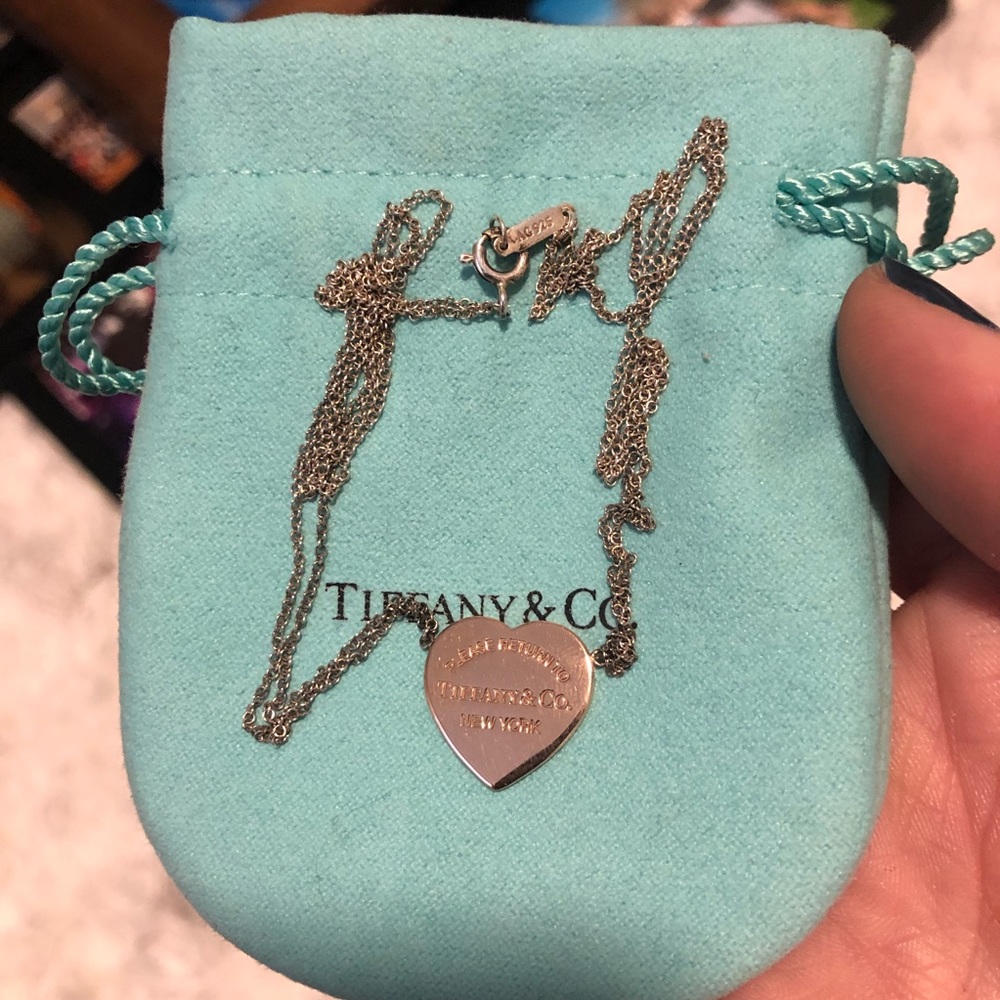 Tiffany&co double chain two toned necklace